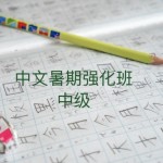 Group logo of 中文暑期强化班（中级）